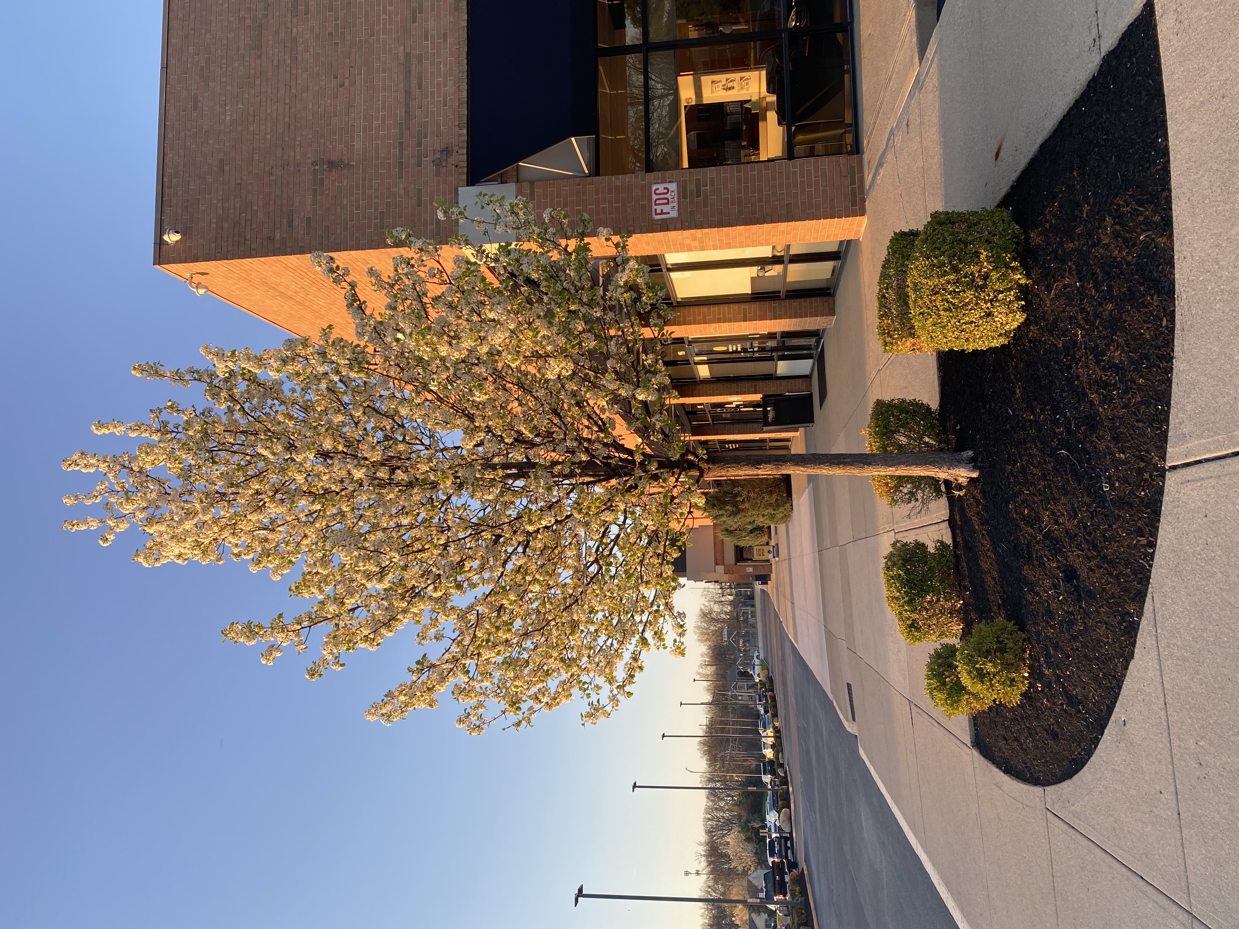 Mulch installation by DLL
